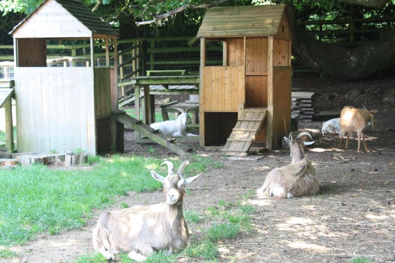 enrichment-playground